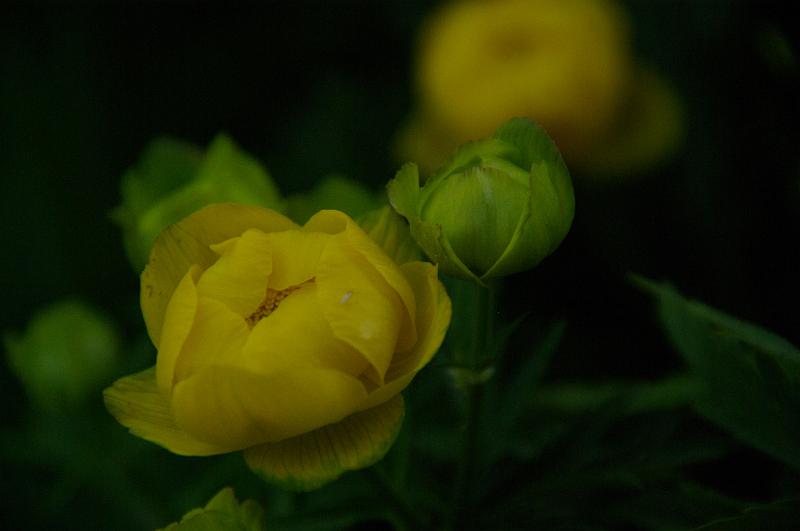 IMGP6078.JPG
