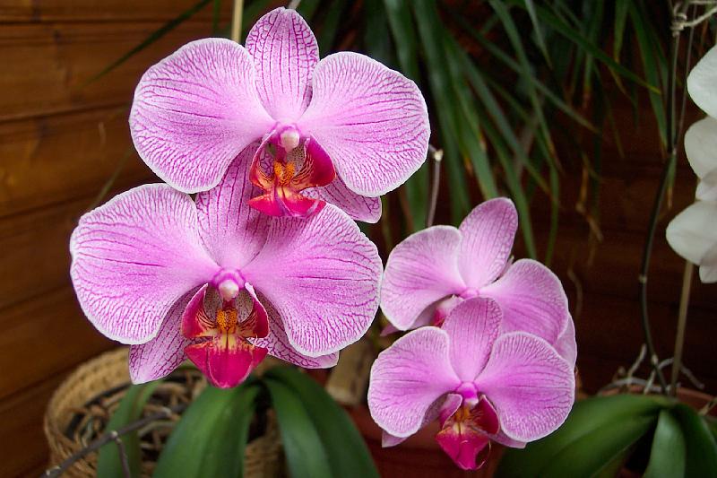 100_5770.JPG