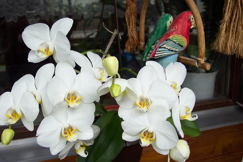 100_5781.JPG